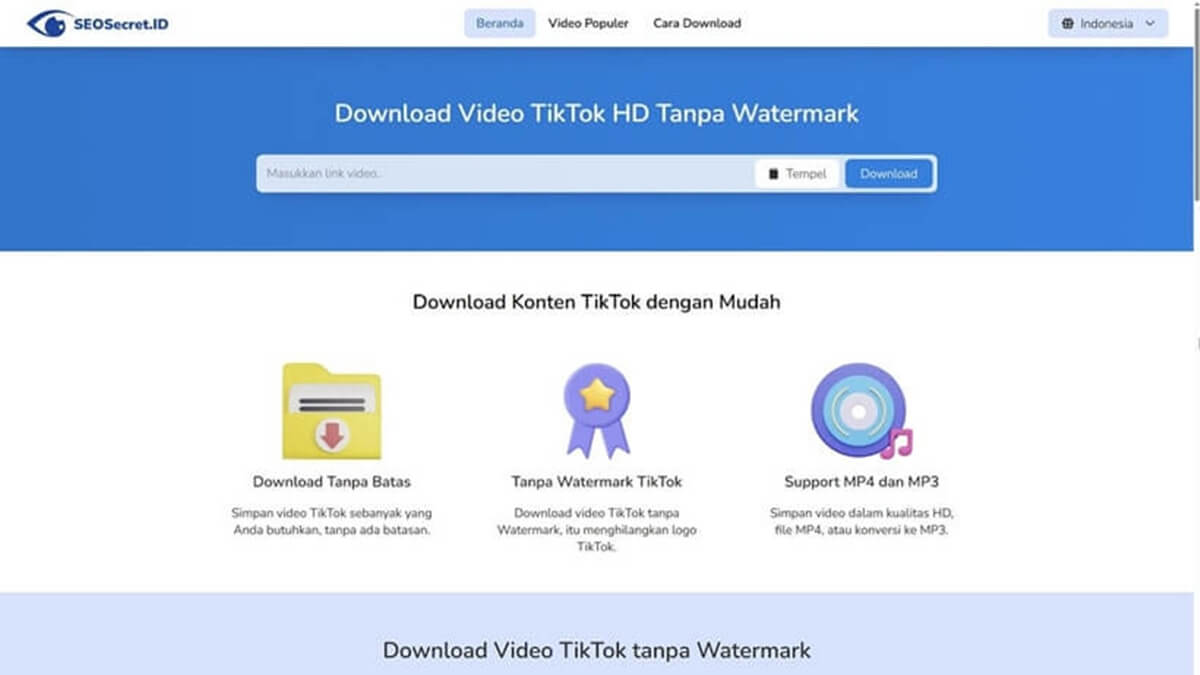 Web Tool Downloader Video TikTok Tanpa Watermark